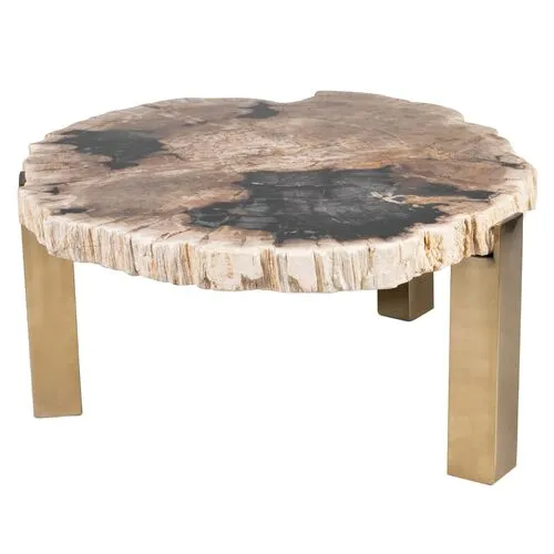 Larza Petrified Wood Coffee Table - Brown