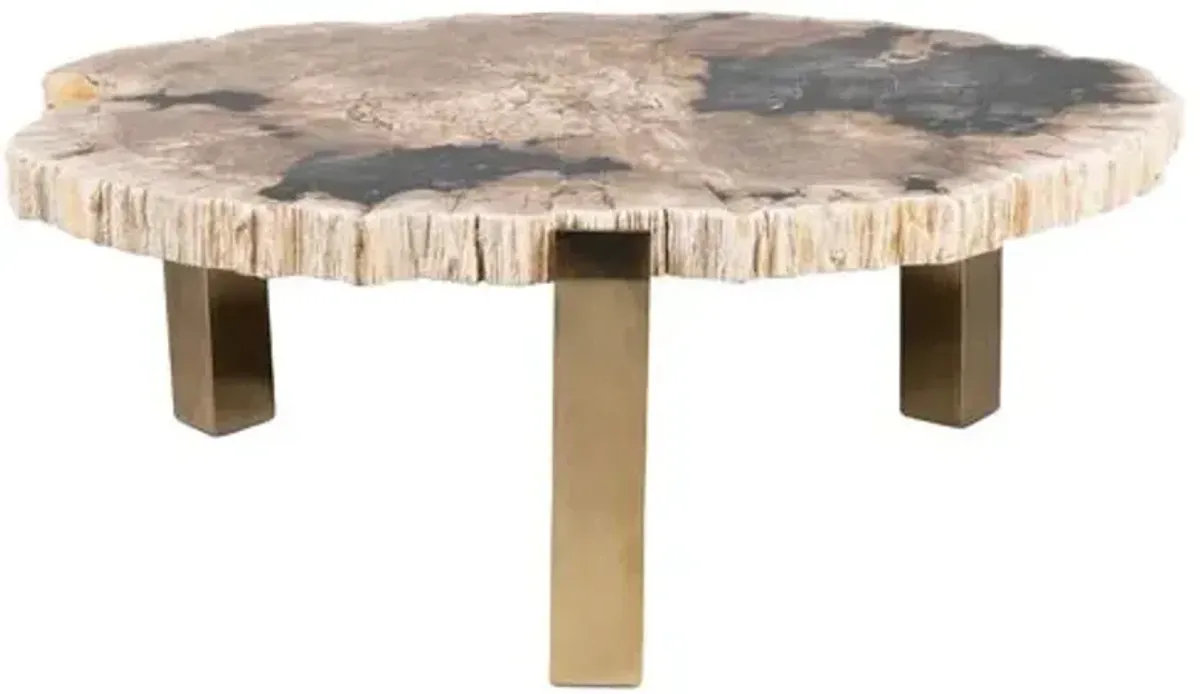 Larza Petrified Wood Coffee Table - Brown