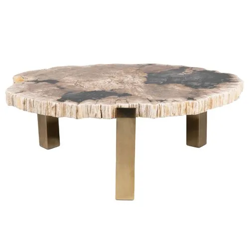 Larza Petrified Wood Coffee Table - Brown