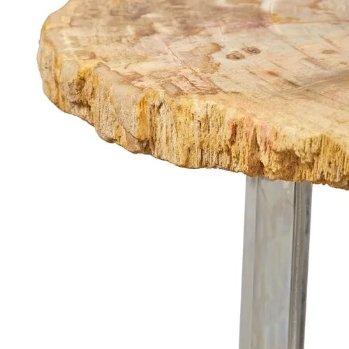 Larza Petrified Wood End Table - Brown