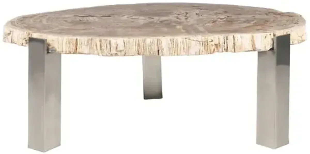 Larza Petrified Wood Coffee Table - Brown