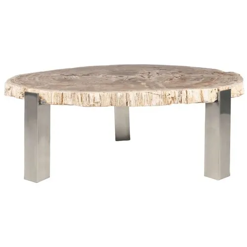 Larza Petrified Wood Coffee Table - Brown