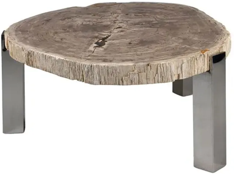 Larza Petrified Wood Coffee Table - Brown