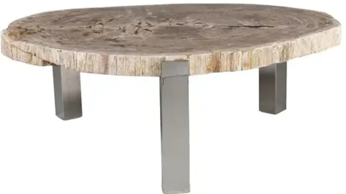 Larza Petrified Wood Coffee Table - Brown