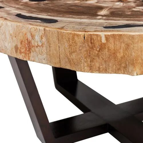 Larza Petrified Wood Coffee Table - Dark Brown/Natural