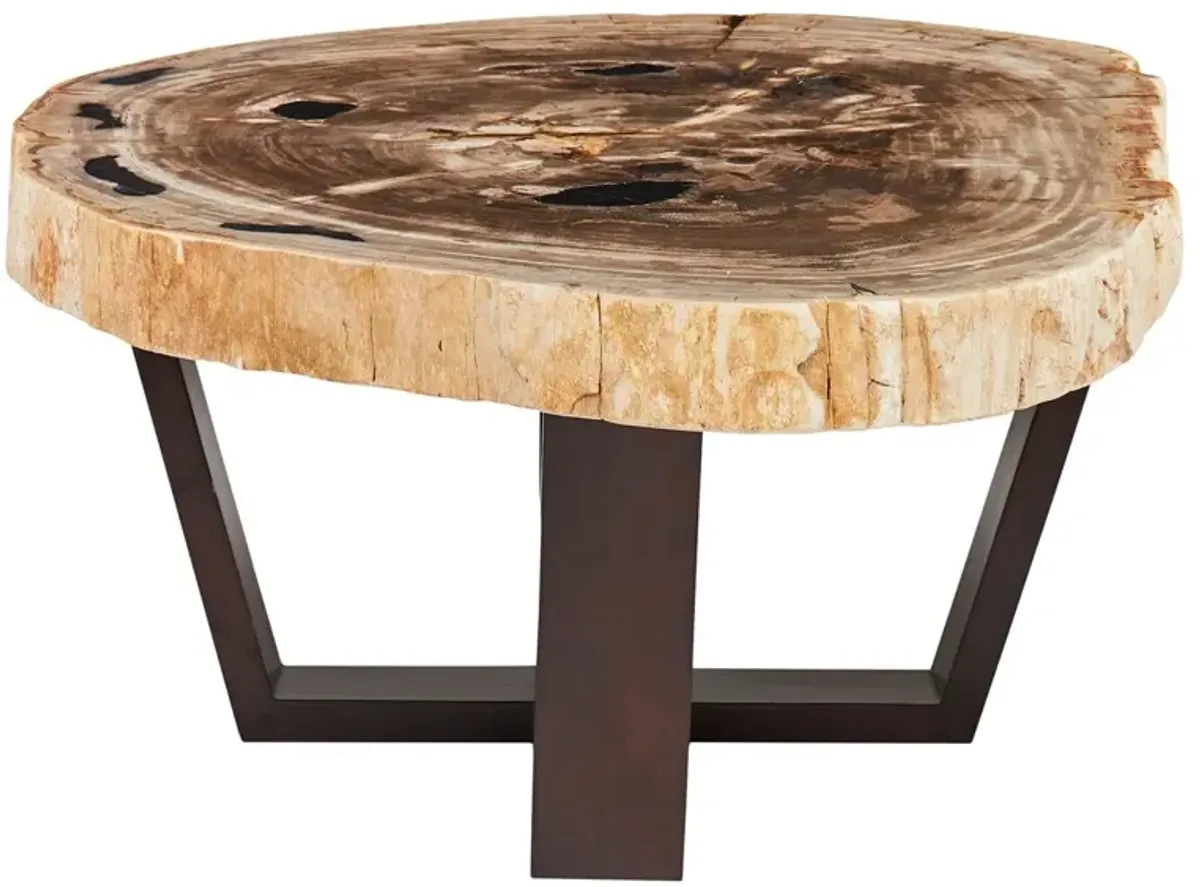 Larza Petrified Wood Coffee Table, Dark Brown/Natural