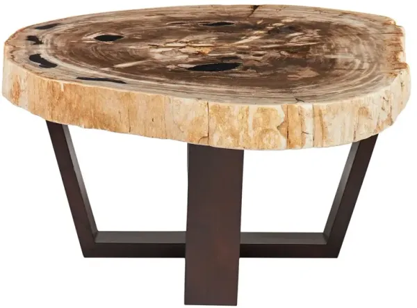 Larza Petrified Wood Coffee Table, Dark Brown/Natural