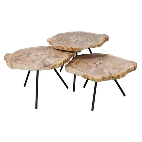 Set of 3 Larza Petrified Wood Nesting Coffee Tables - Brown