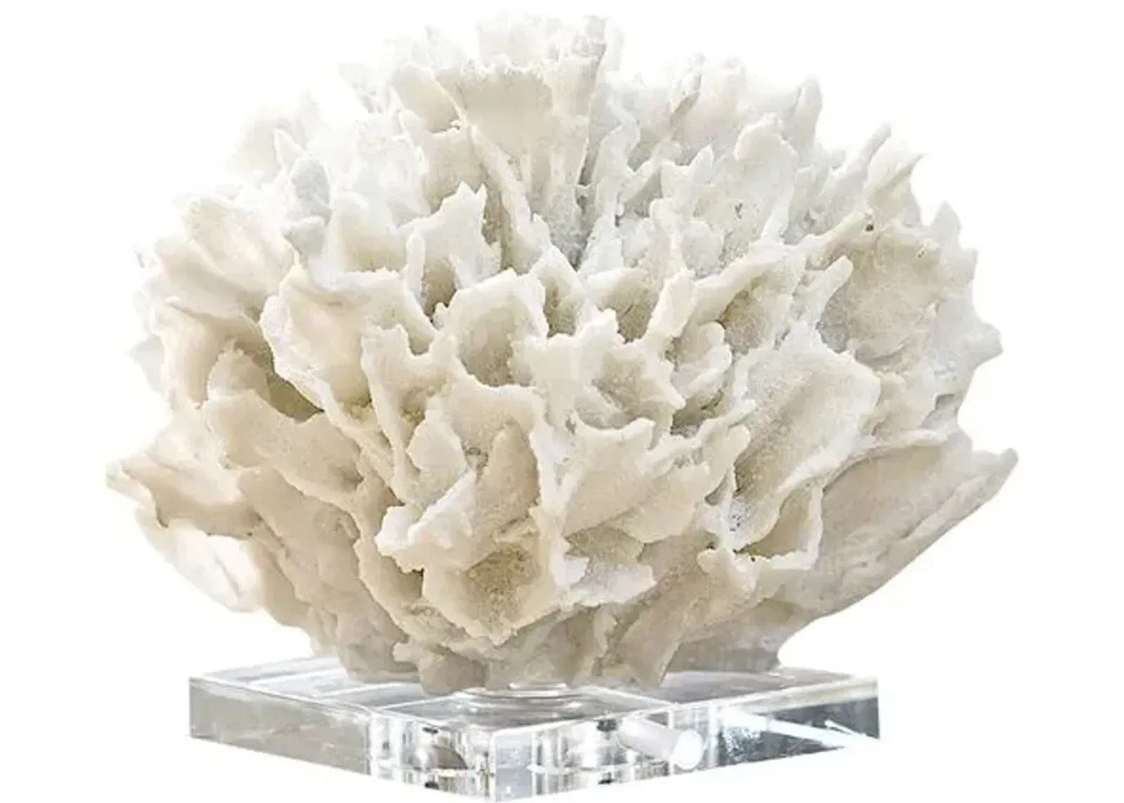 Ribbon Coral - White - Regina Andrew