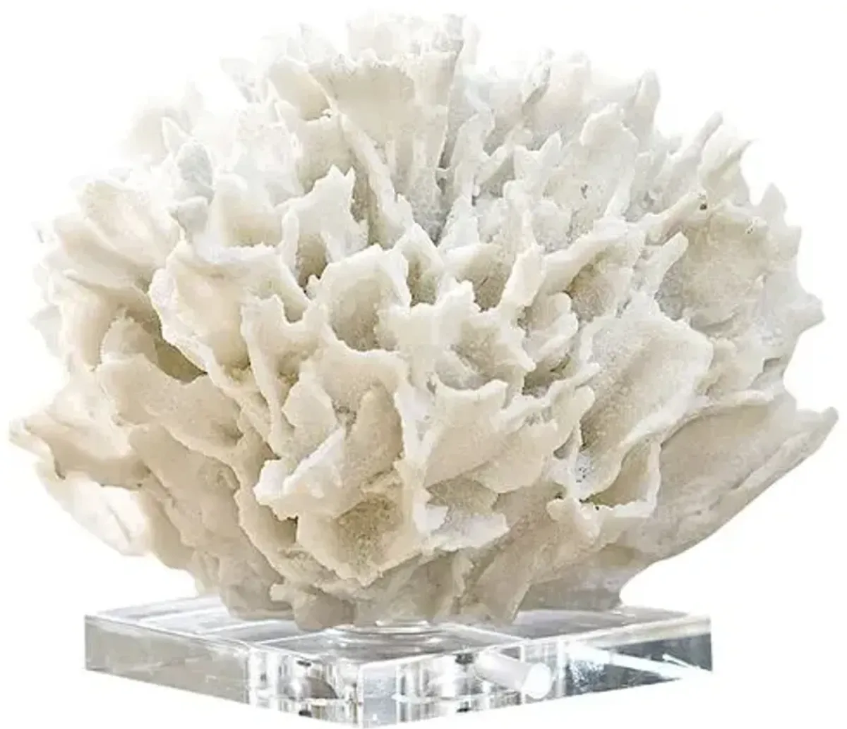 Ribbon Coral - White - Regina Andrew