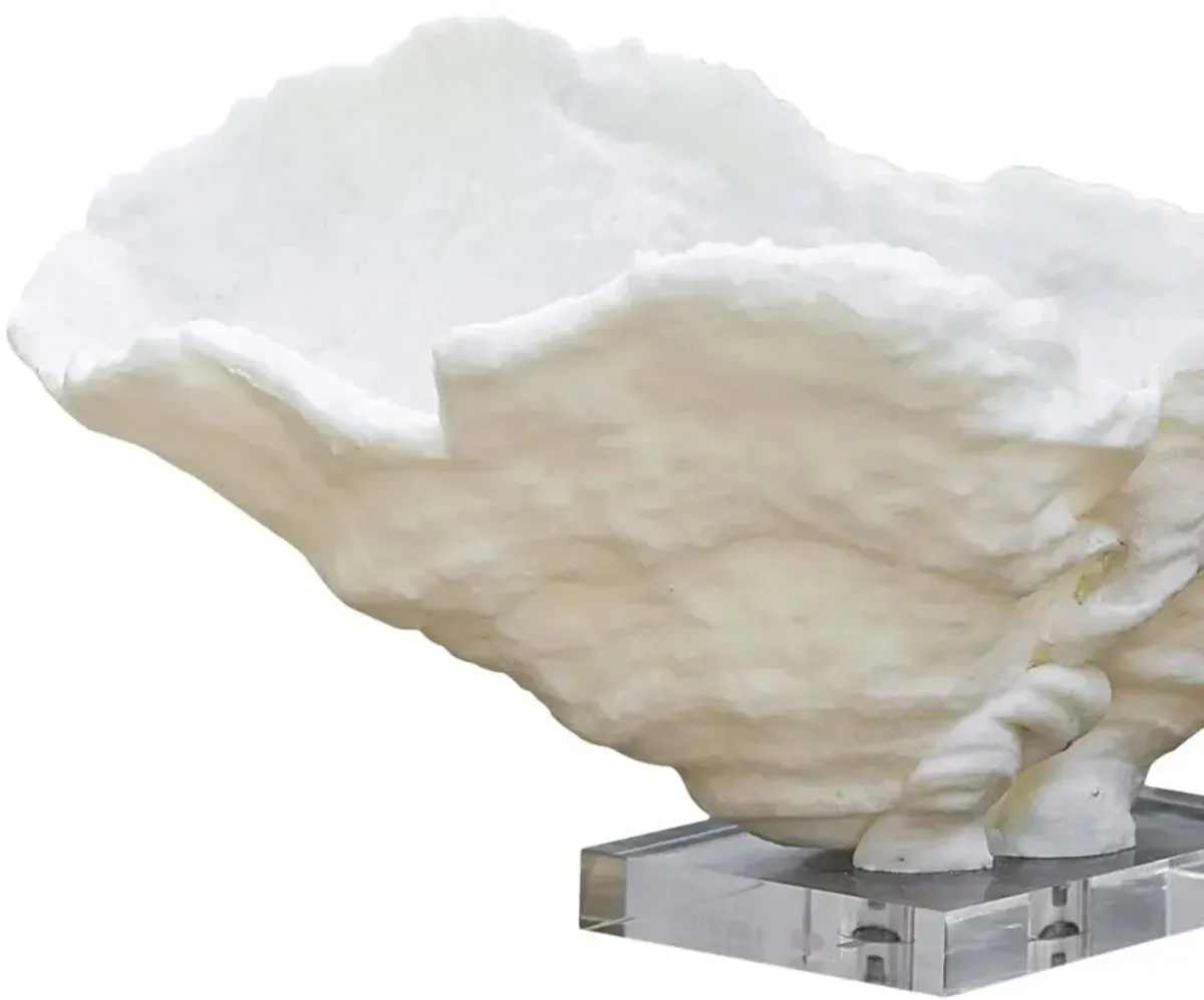 Coral Reef Large Bowl, White