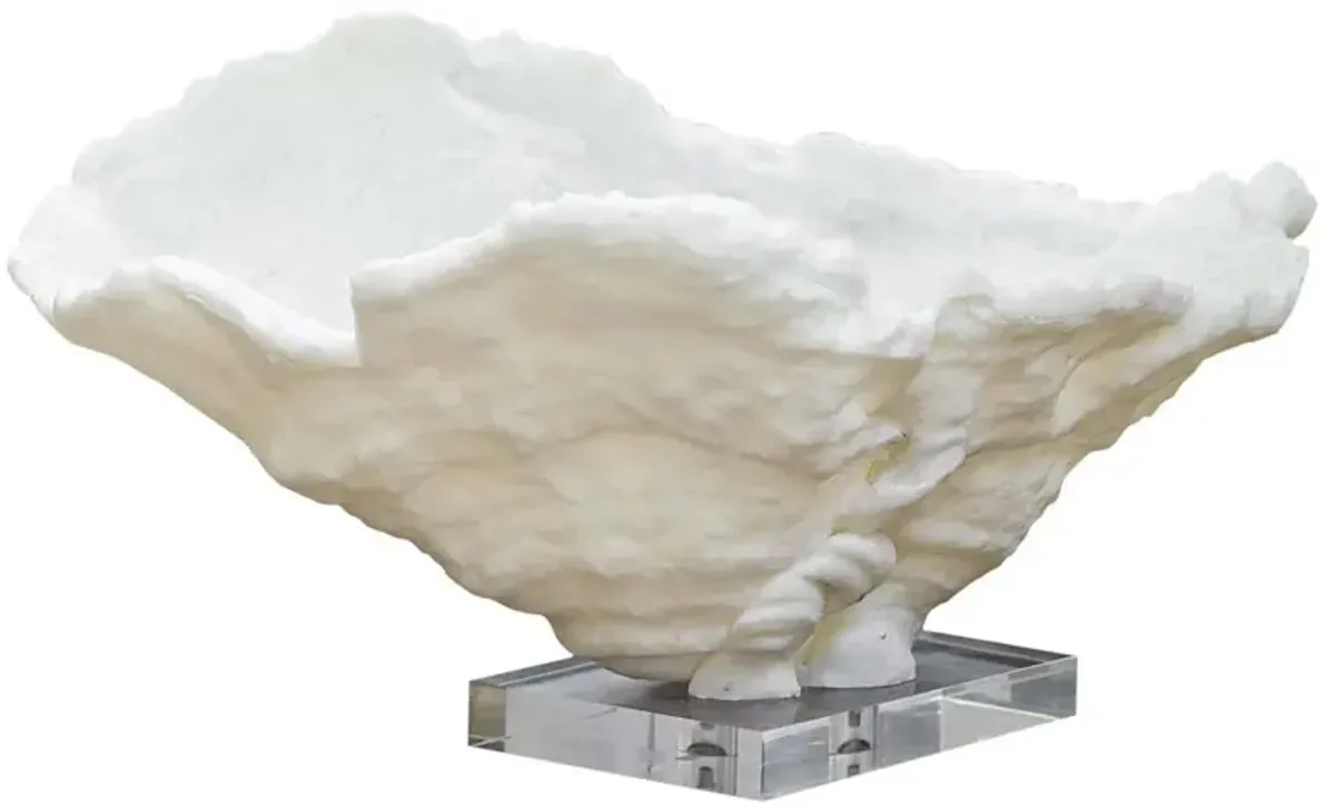 Coral Reef Large Bowl, White