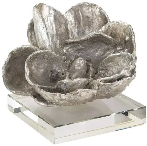 Magnolia Objet, Silver Leaf