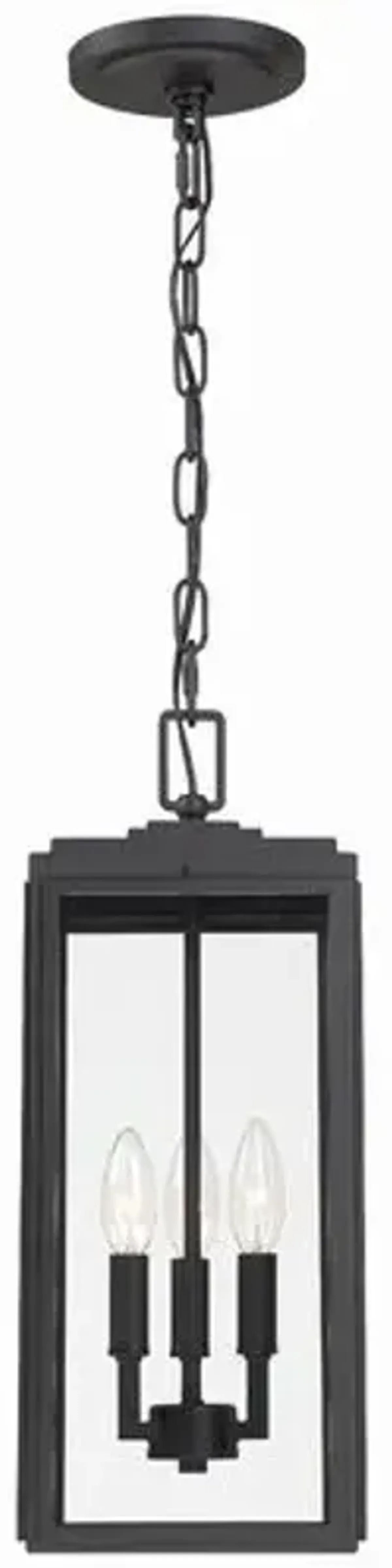 Byron 3 Light Outdoor Pendant - Matte Black - Crystorama