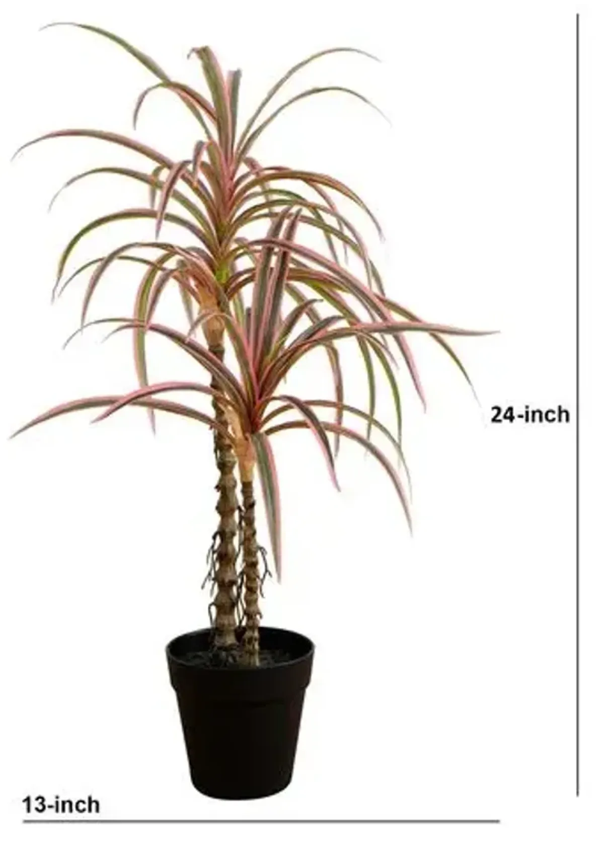 2ft. Artificial Dracaena Marginata Plant - Green