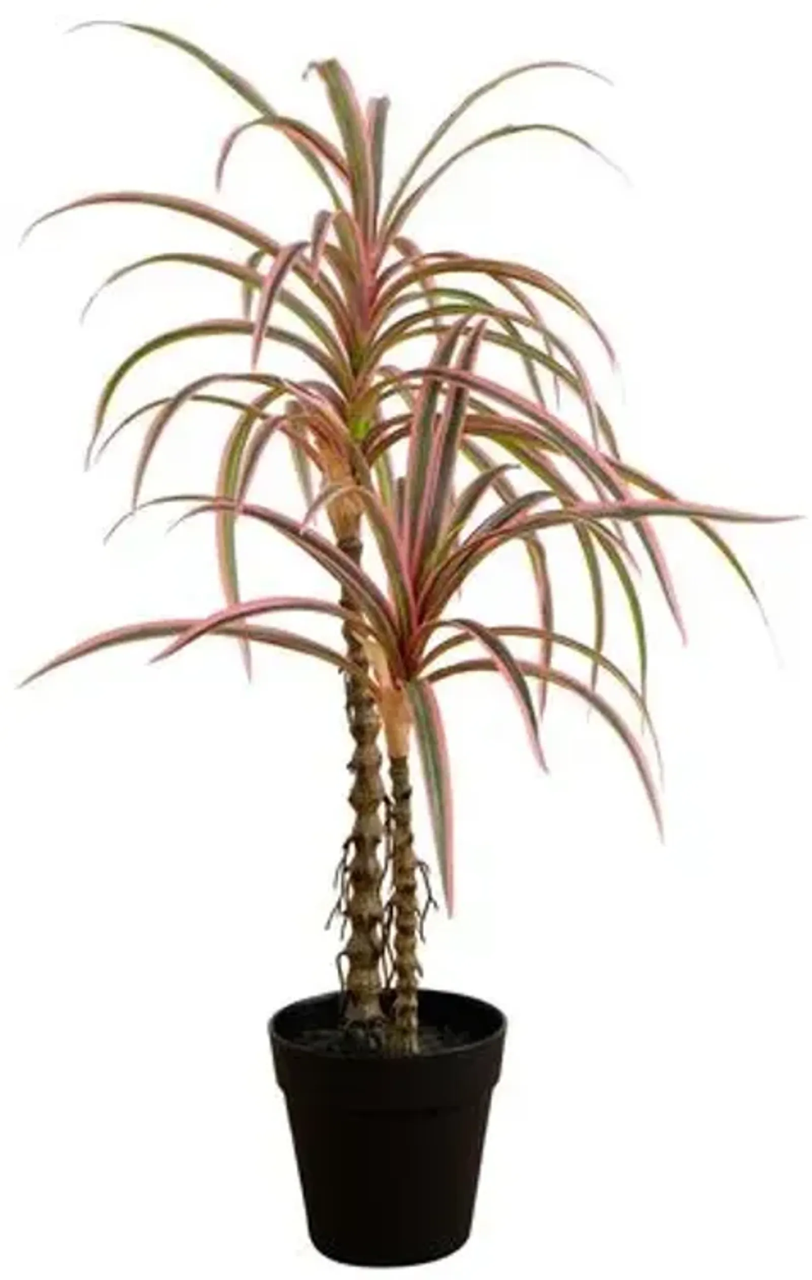 2ft. Artificial Dracaena Marginata Plant - Green