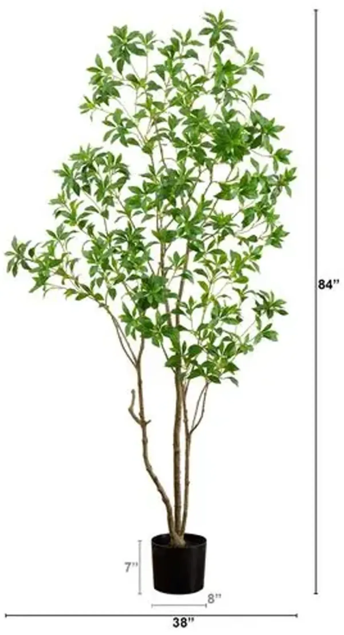 7ft. Artificial Minimalist Japanese Pieris Tree with Real Touch Leaves - Green