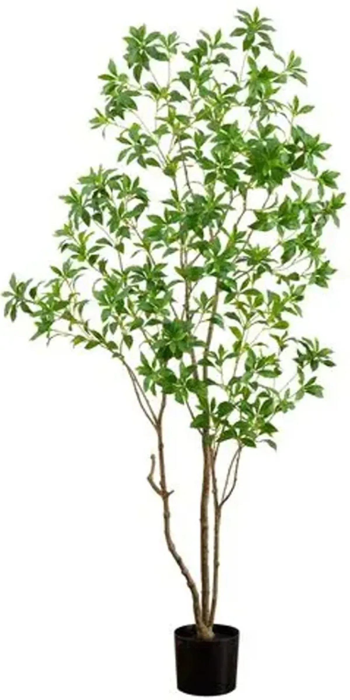 7ft. Artificial Minimalist Japanese Pieris Tree with Real Touch Leaves - Green