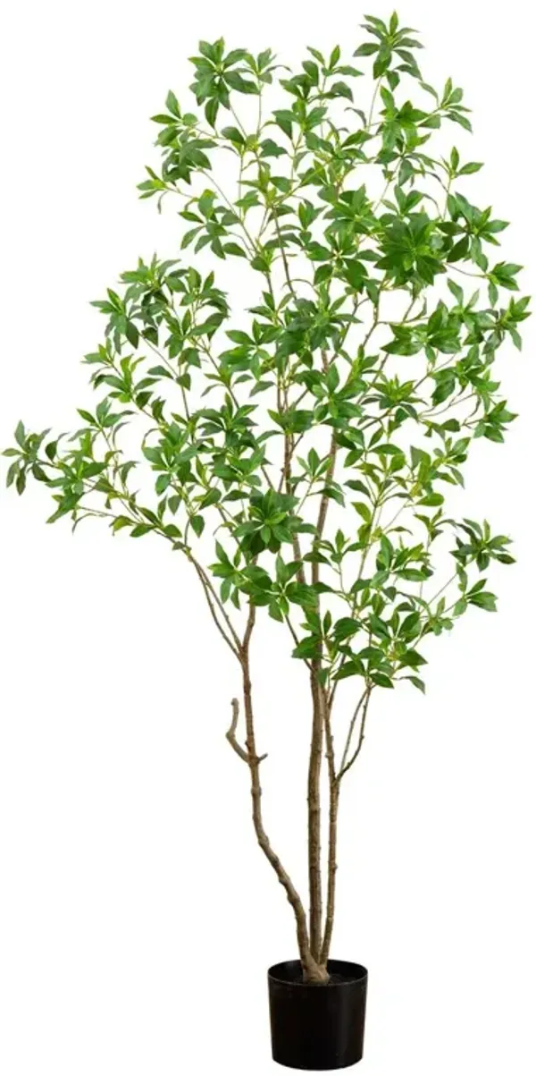 7ft. Artificial Minimalist Japanese Pieris Tree with Real Touch Leaves