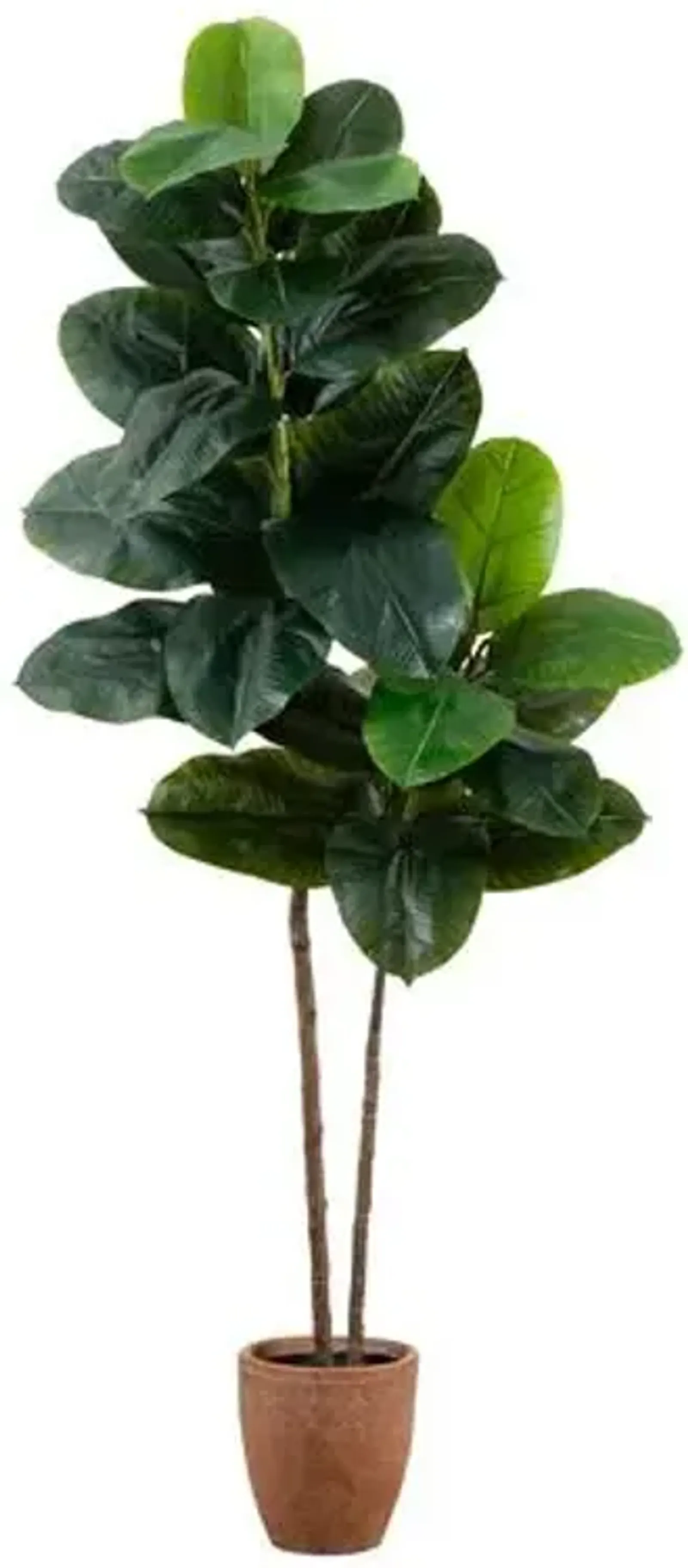 6ft. Artificial Rubber Tree in Decorative Planter with Real Touch Leaves - Green - 72Hx19Wx27D in