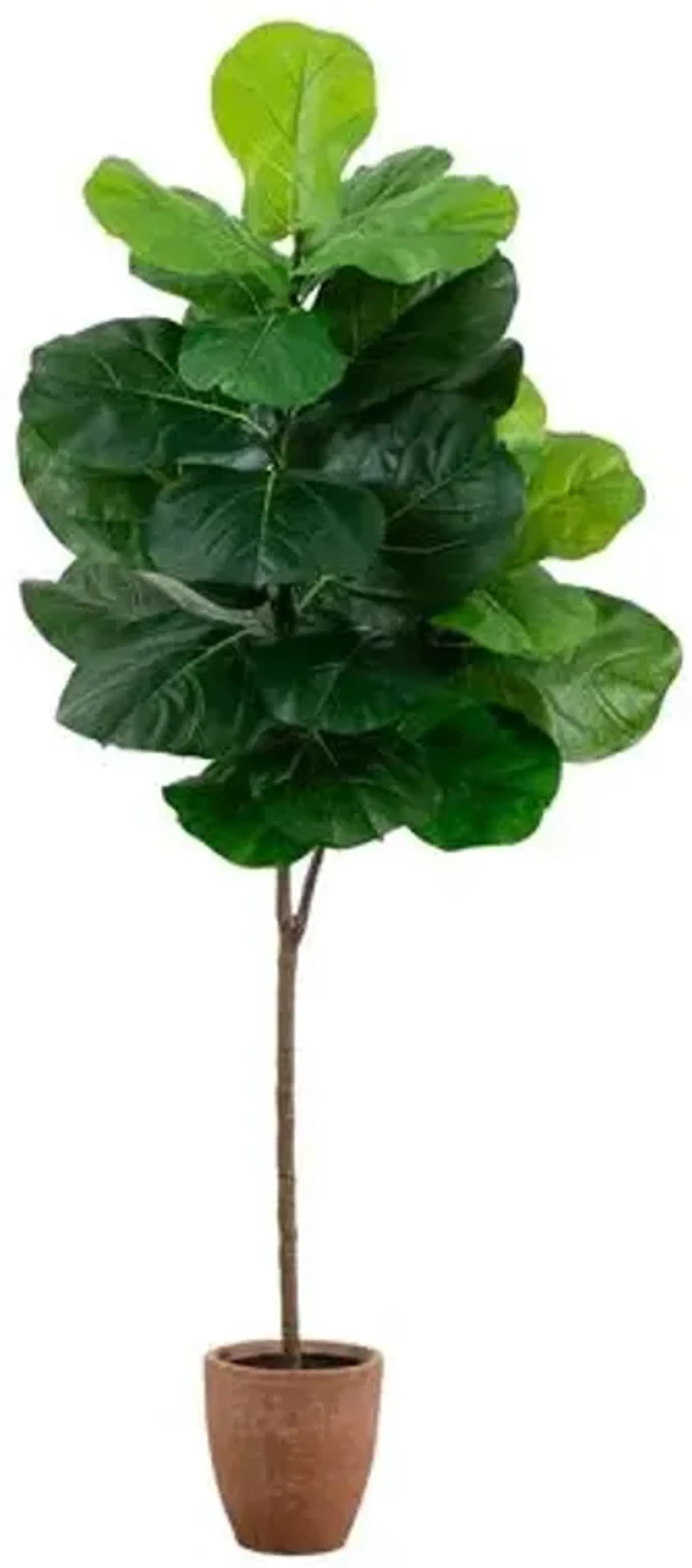 6ft. Artificial Giant Leaf Fiddle Leaf Fig Tree in Decorative Planter with Real Touch Leaves - Green - 72Hx27W in