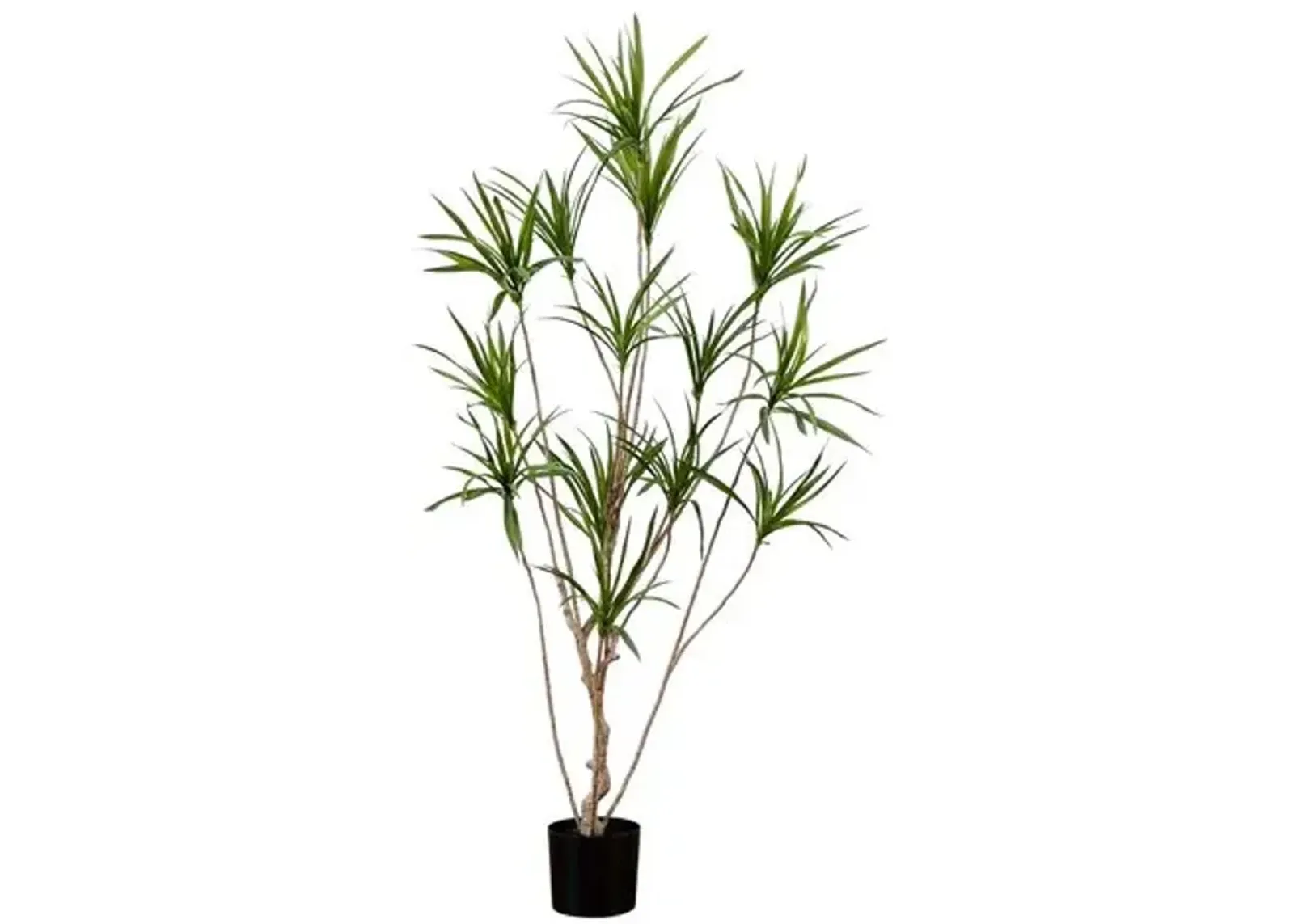 6ft. Artificial Dracaena Tree - Green