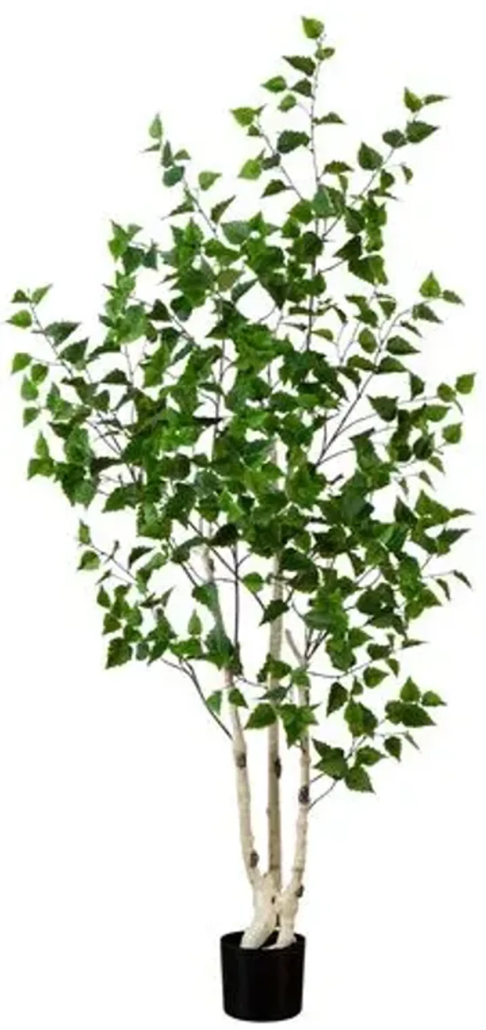 6ft. Artificial Birch Tree with Real Touch Leaves - Green