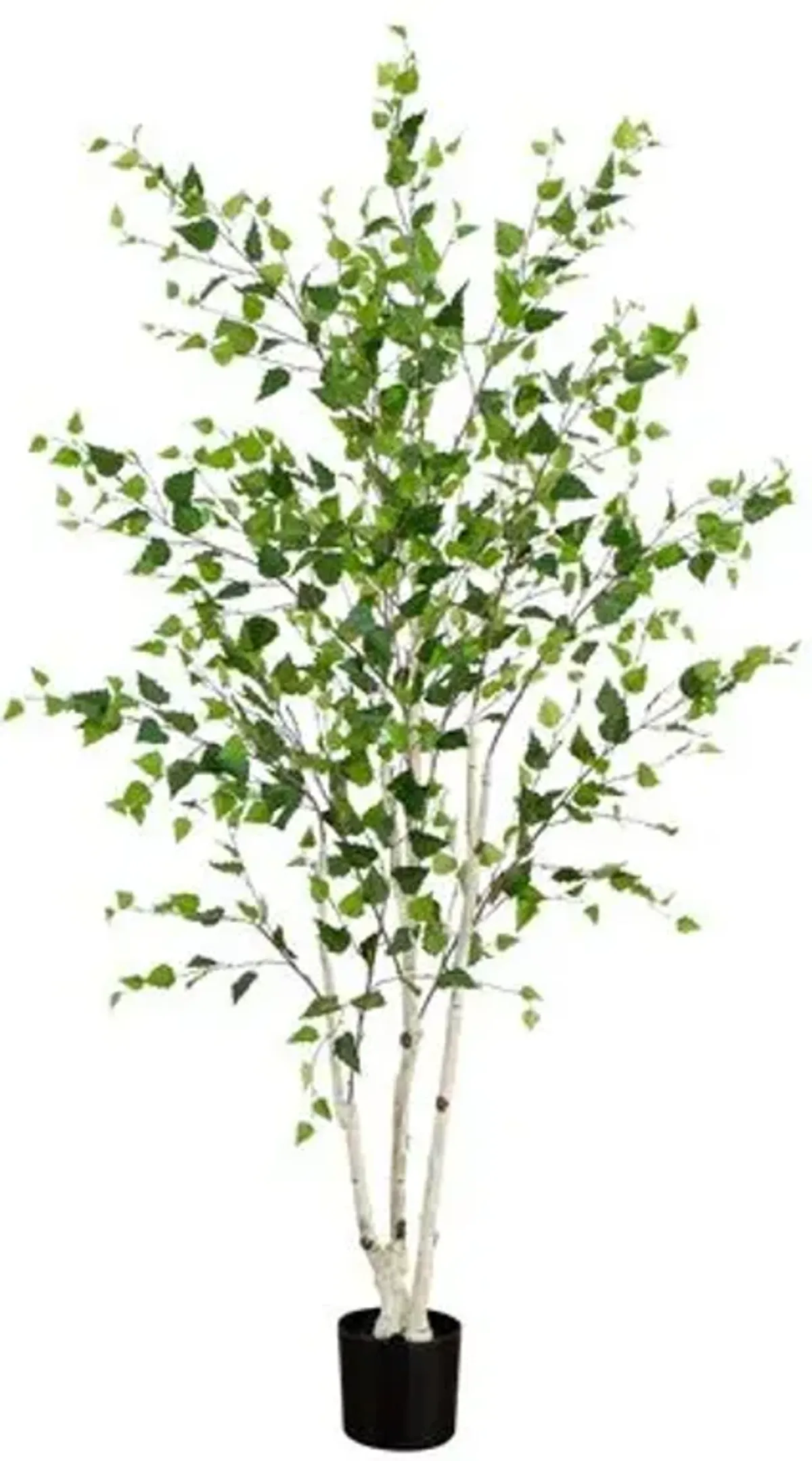 7ft. Artificial Birch Tree with Real Touch Leaves - Green