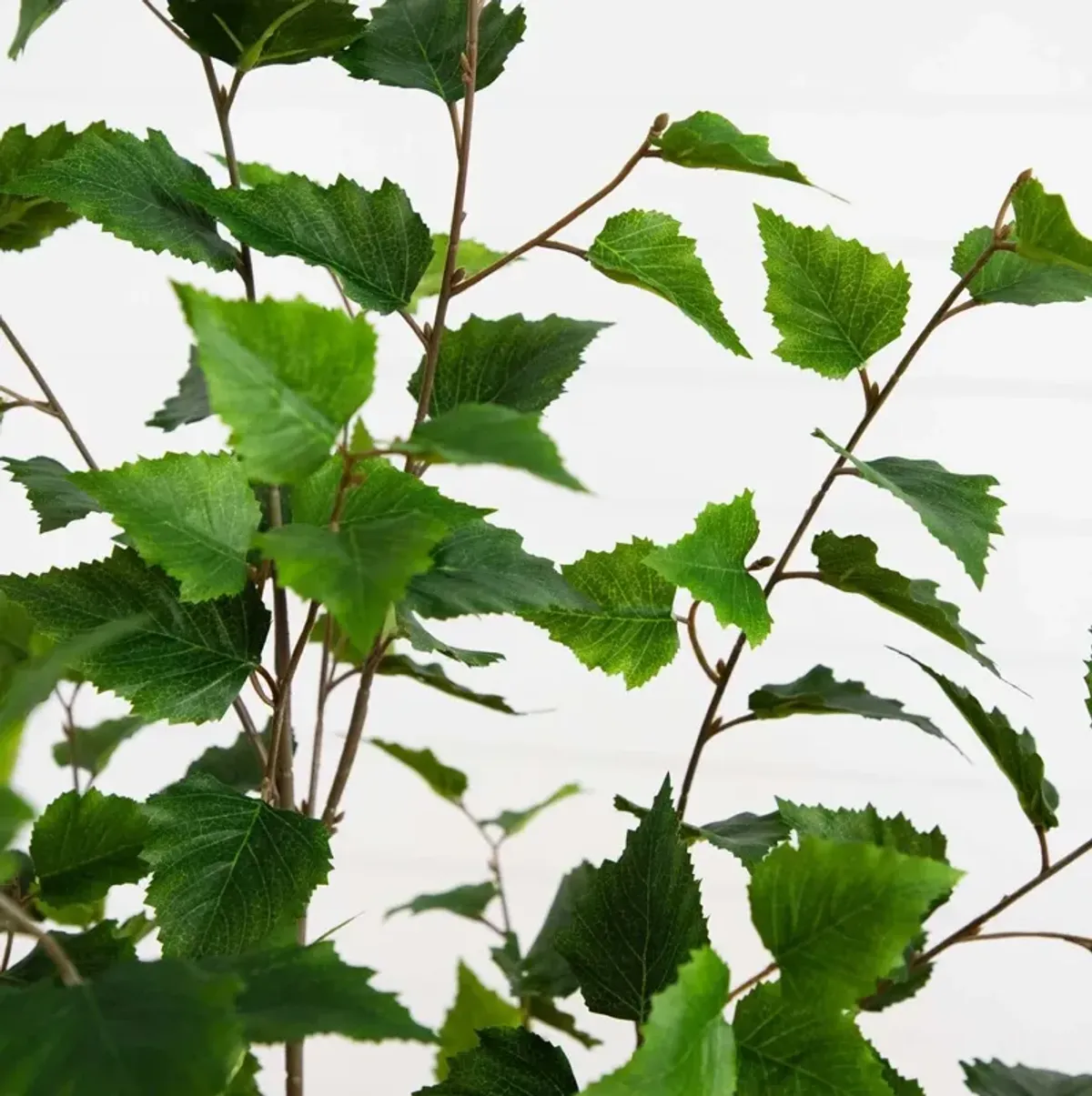 5ft. Artificial Birch Tree with Real Touch Leaves