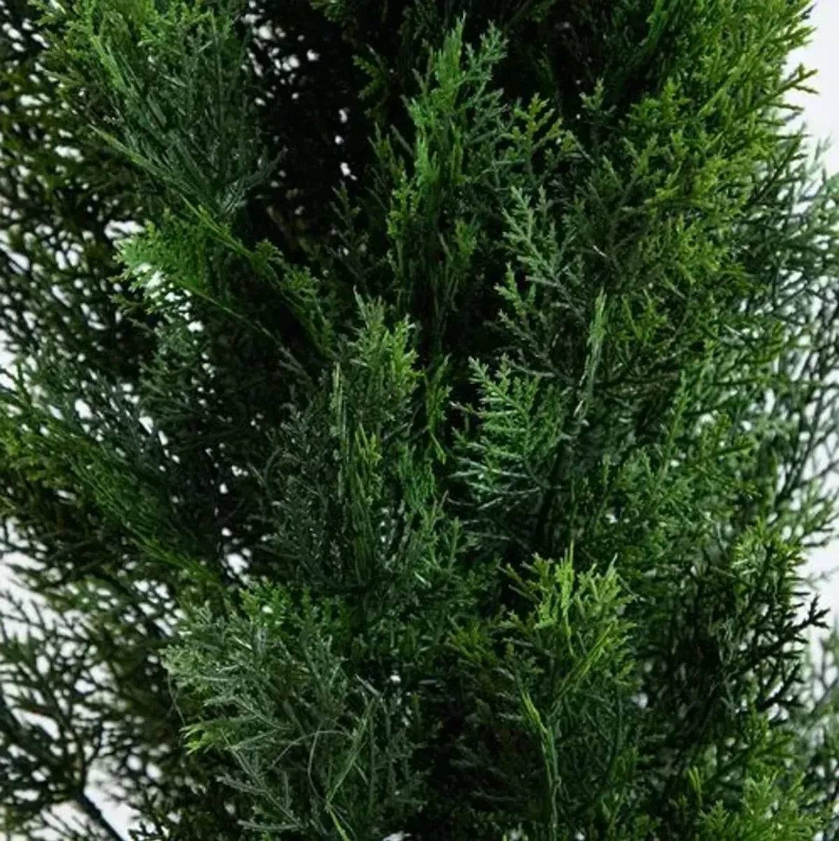 10ft. UV Resistant Artificial Cedar Pine Tree - Green