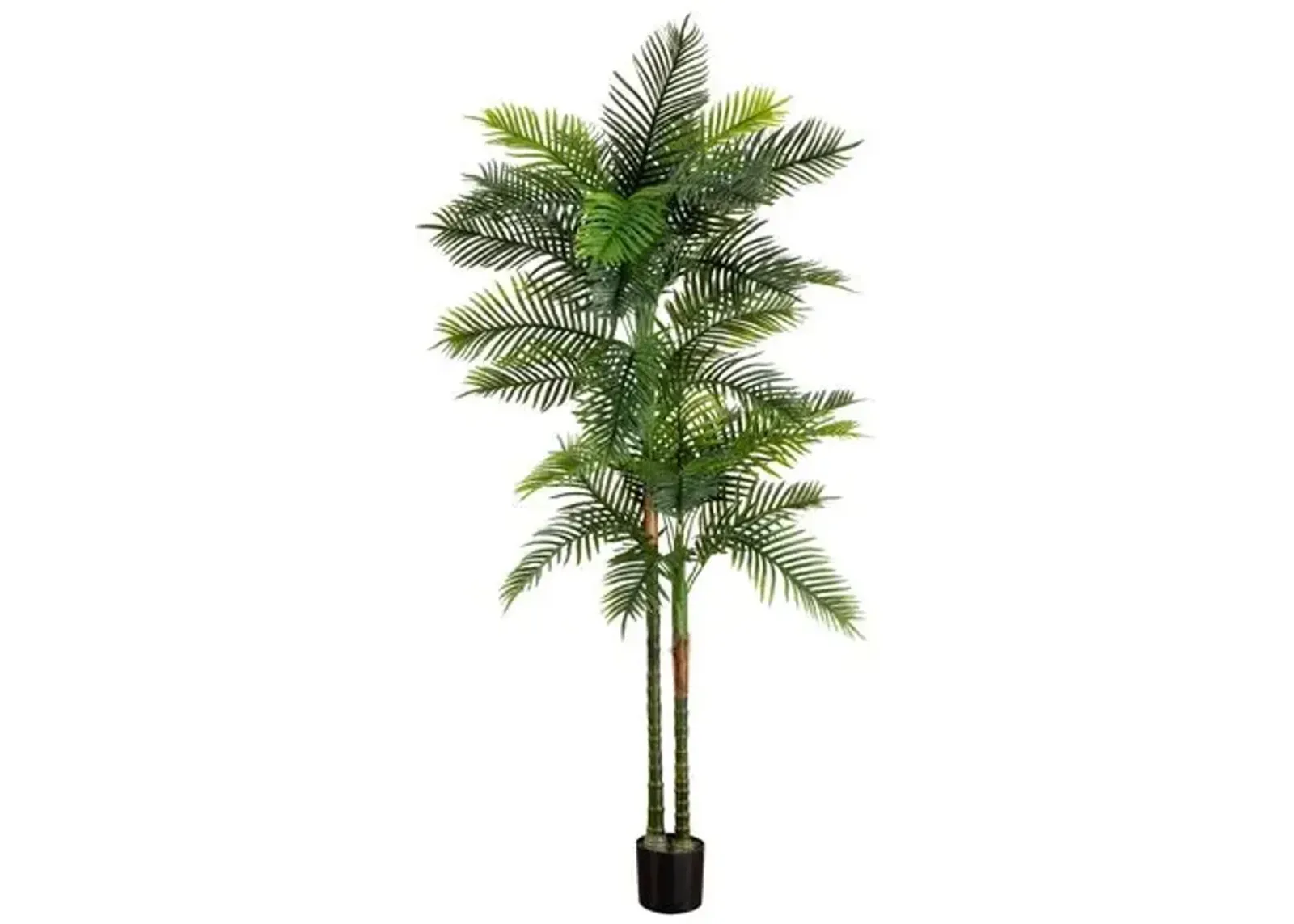 8ft. UV Resistant Artificial Double Robellini Palm Tree - Green