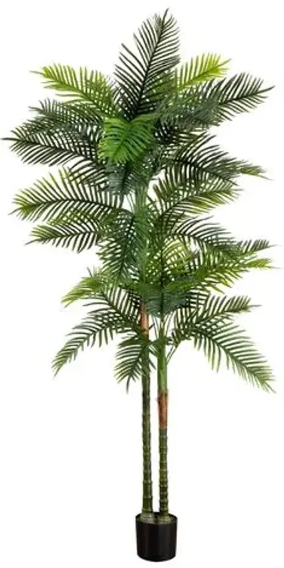 8ft. UV Resistant Artificial Double Robellini Palm Tree - Green