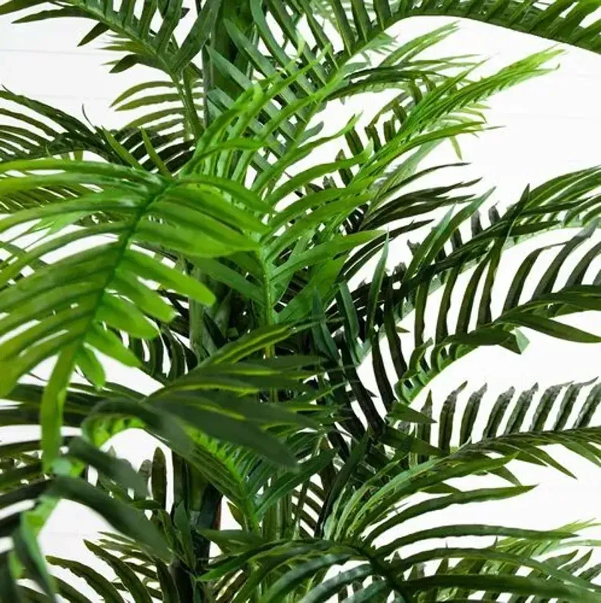 10ft. UV Resistant Artificial Double Robellini Palm Tree - Green