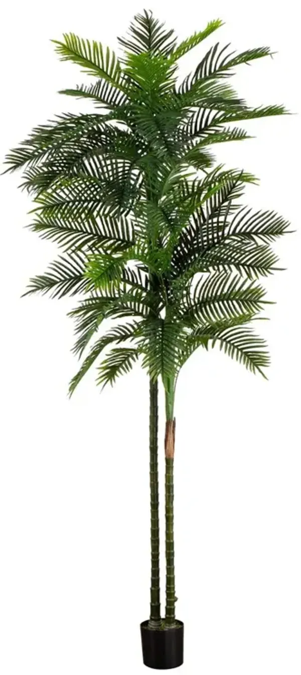 10ft. UV Resistant Artificial Double Robellini Palm Tree