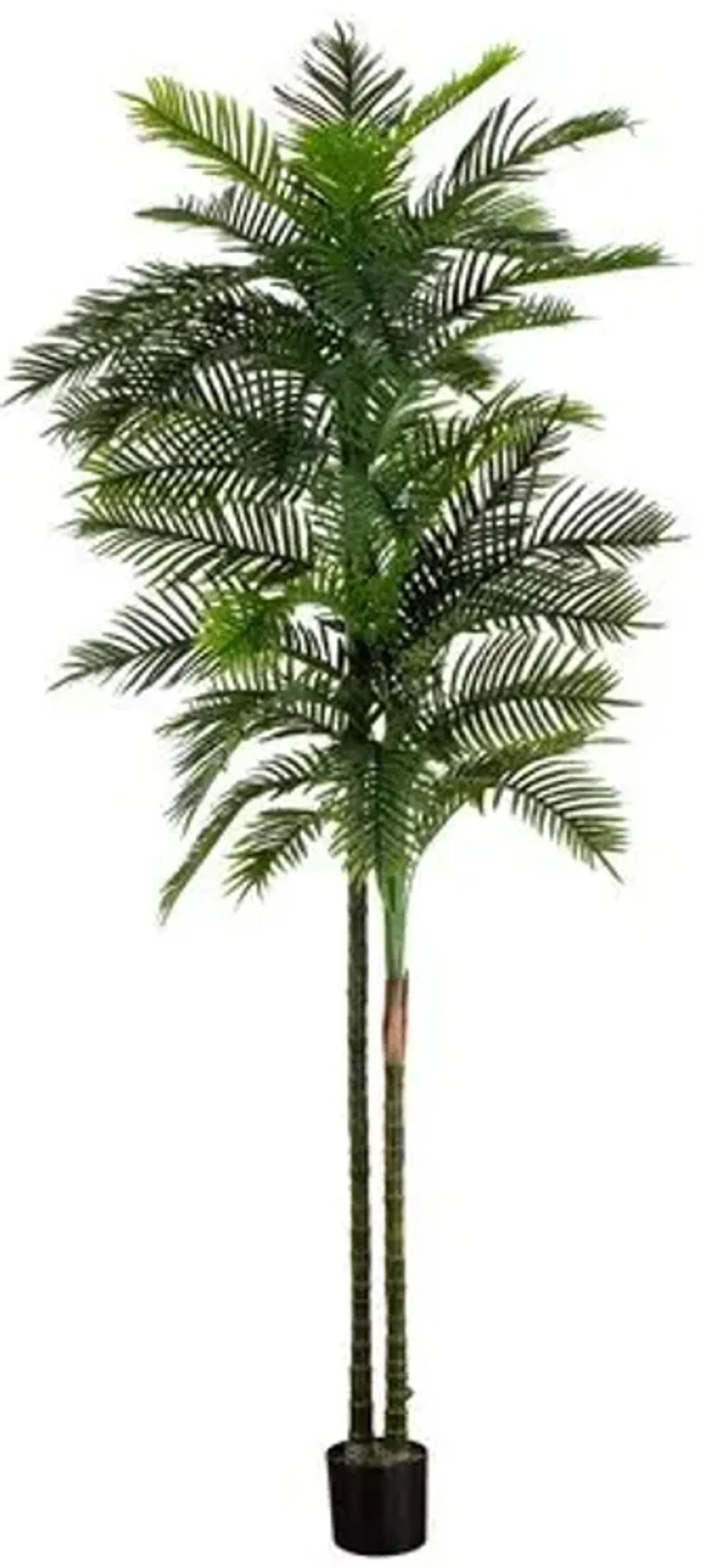 10ft. UV Resistant Artificial Double Robellini Palm Tree - Green