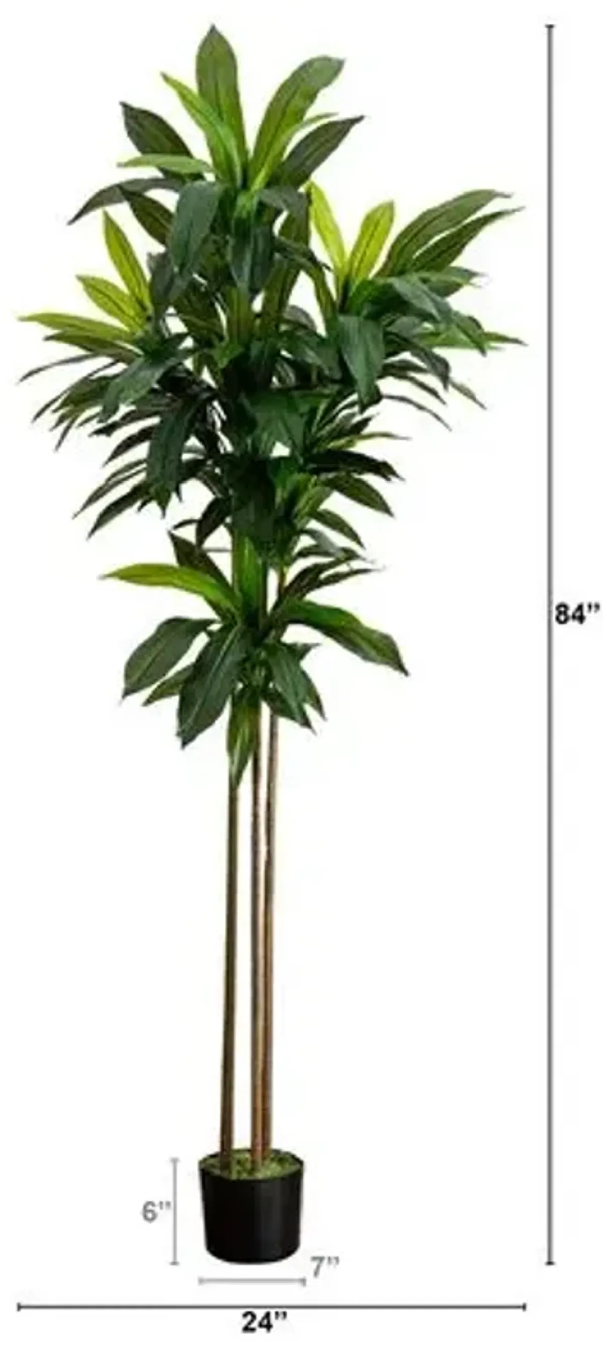 7ft. Artificial Dracaena Tree with Real Touch Leaves - Green