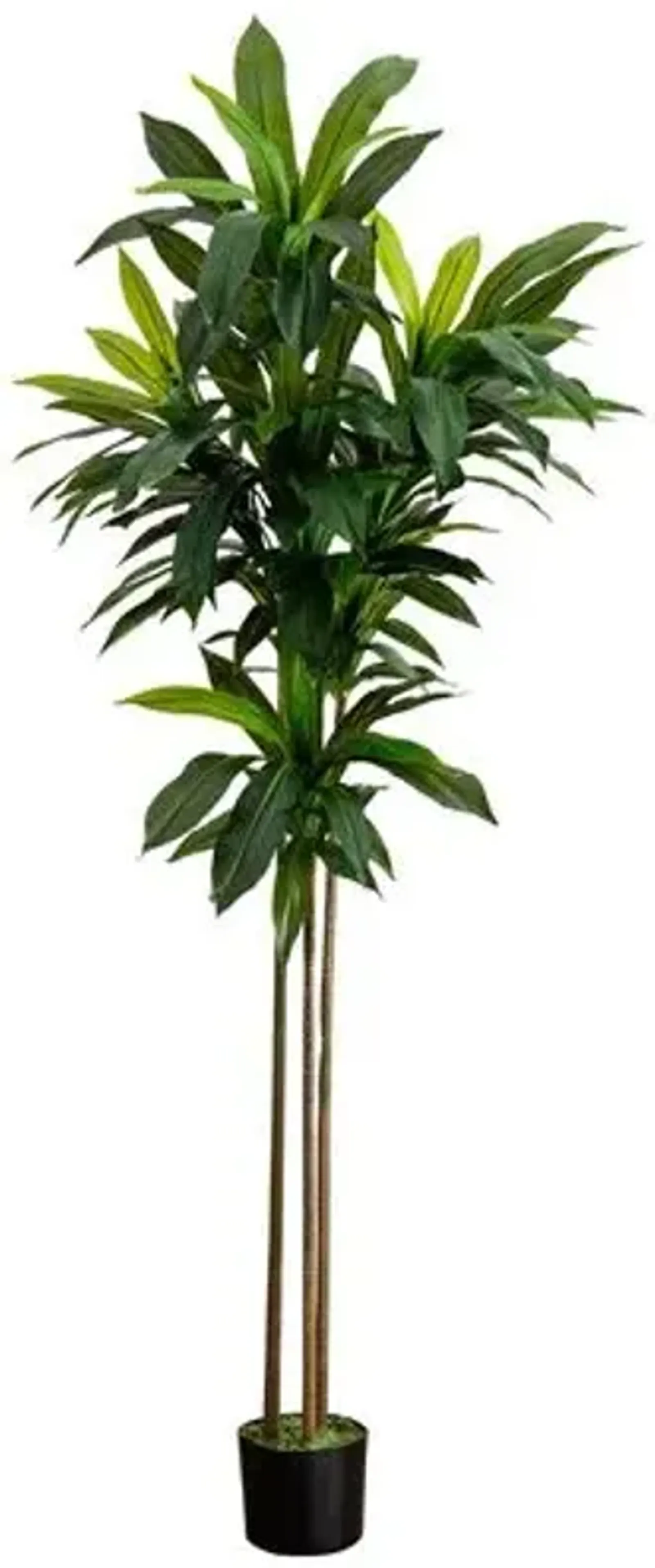 7ft. Artificial Dracaena Tree with Real Touch Leaves - Green