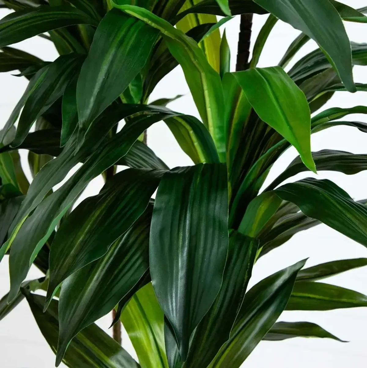 8ft. Artificial Dracaena Tree with Real Touch Leaves