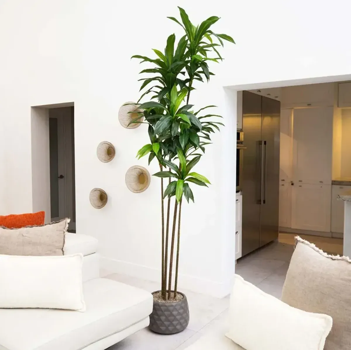 8ft. Artificial Dracaena Tree with Real Touch Leaves