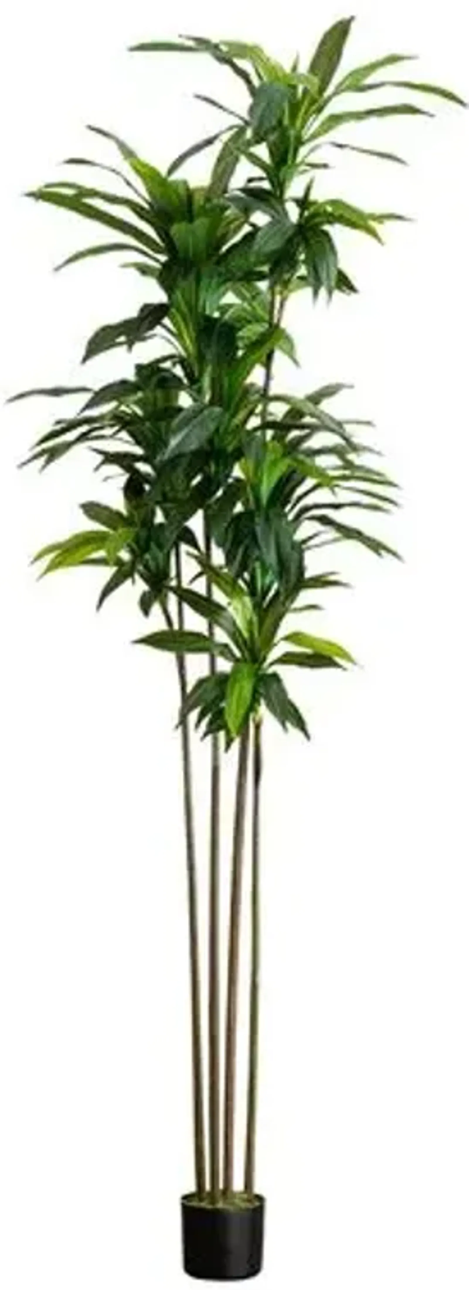 8ft. Artificial Dracaena Tree with Real Touch Leaves - Green