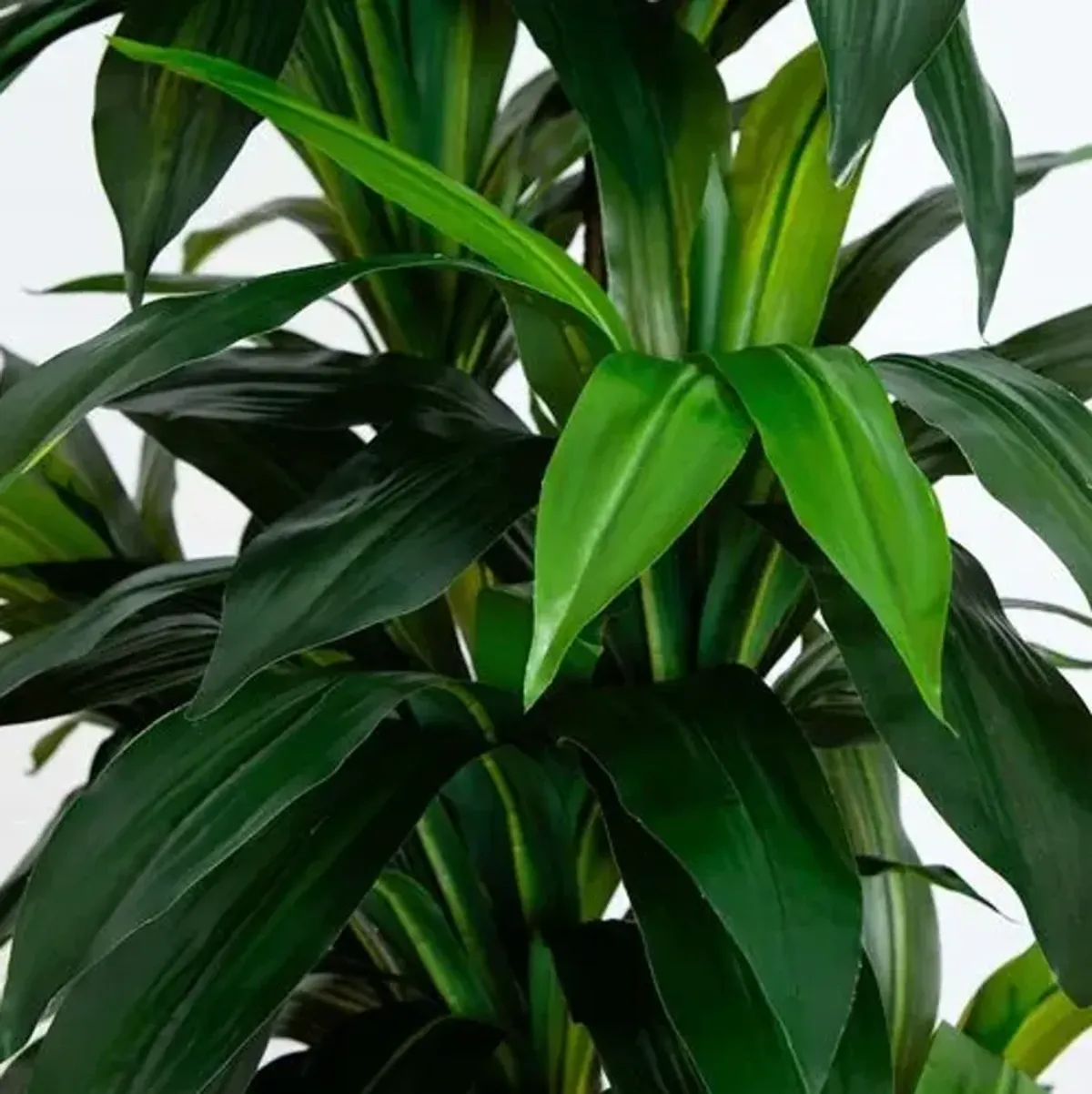 9ft. Artificial Dracaena Tree with Real Touch Leaves - Green