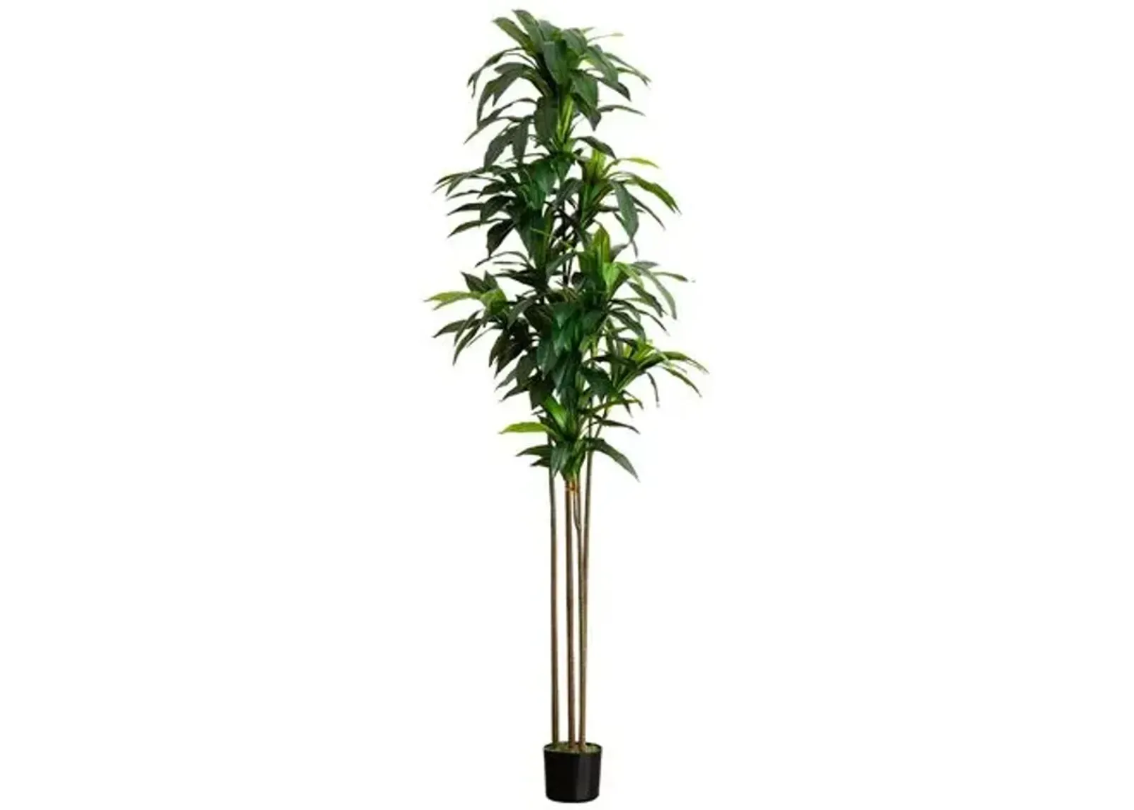 9ft. Artificial Dracaena Tree with Real Touch Leaves - Green