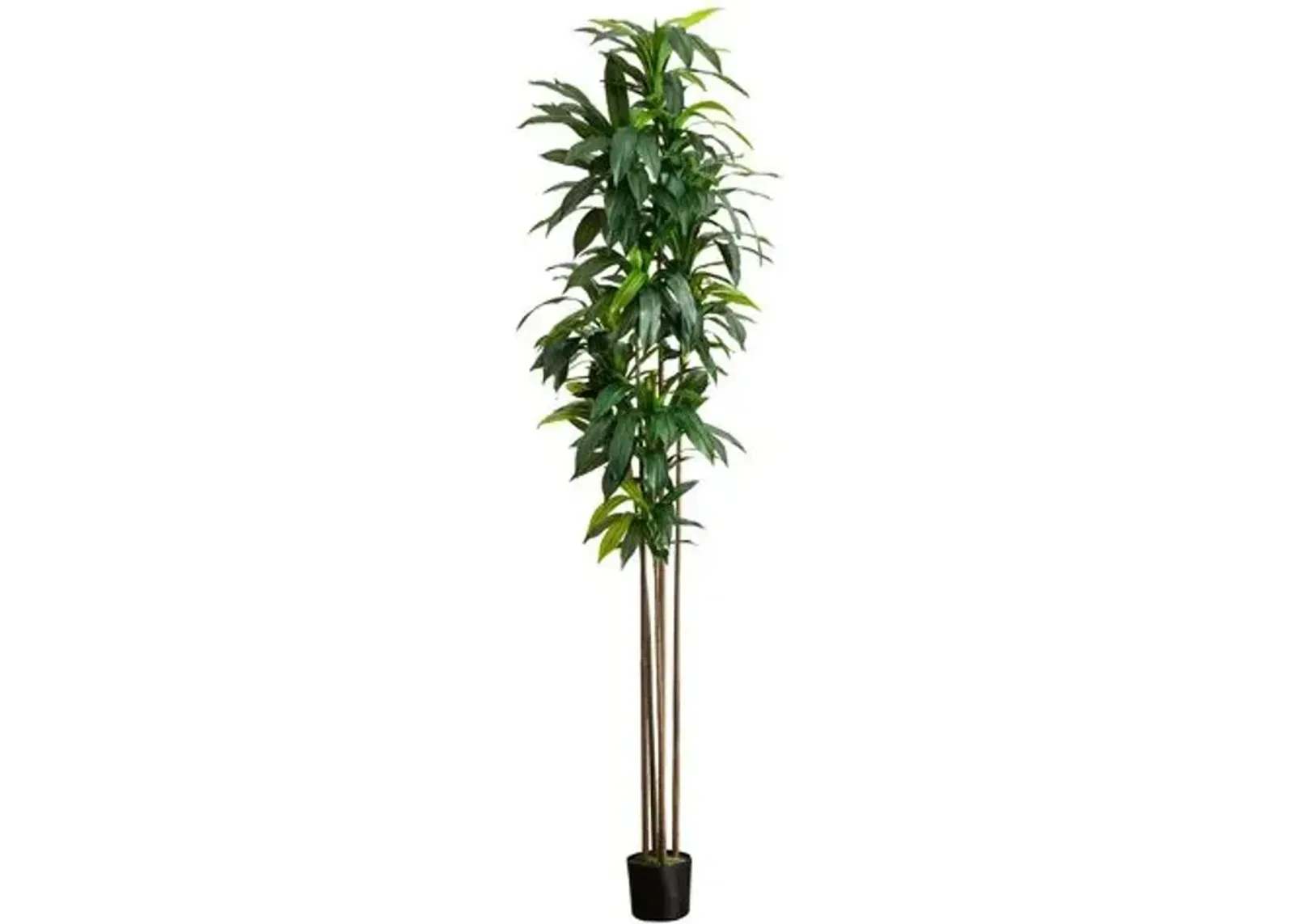 10ft. Artificial Dracaena Tree with Real Touch Leaves - Green