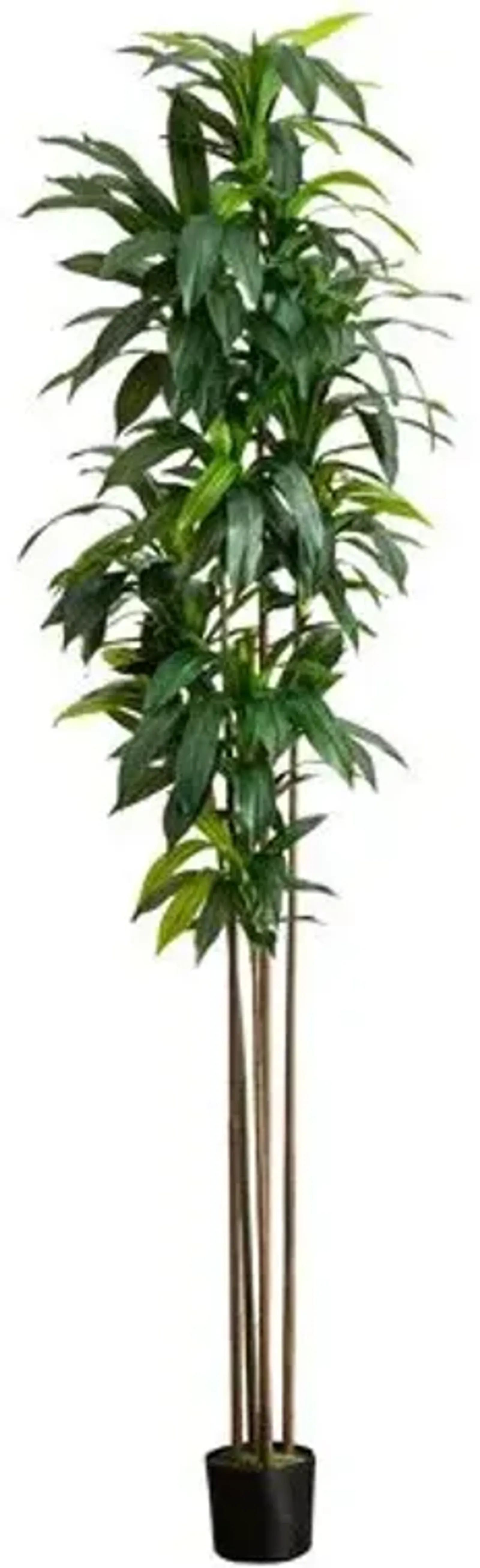 10ft. Artificial Dracaena Tree with Real Touch Leaves - Green