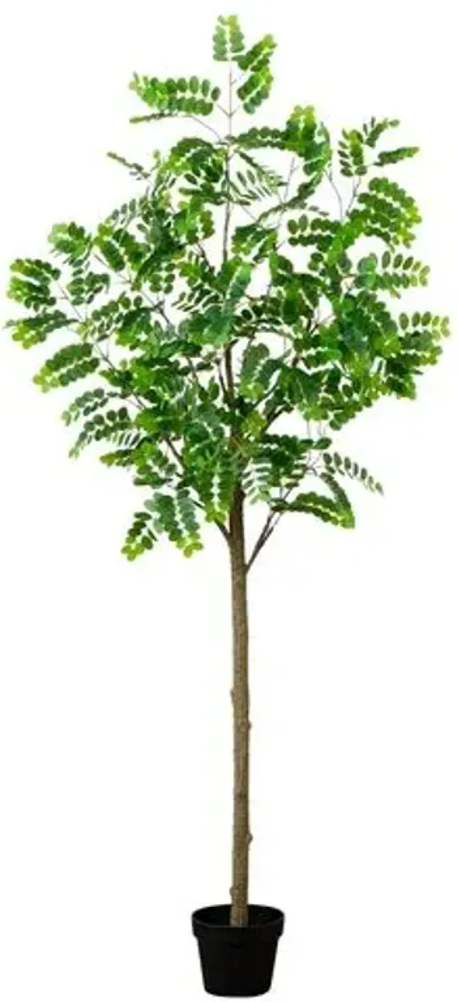 6ft. Artificial Greco Citrus Tree with Real Touch Leaves - Green