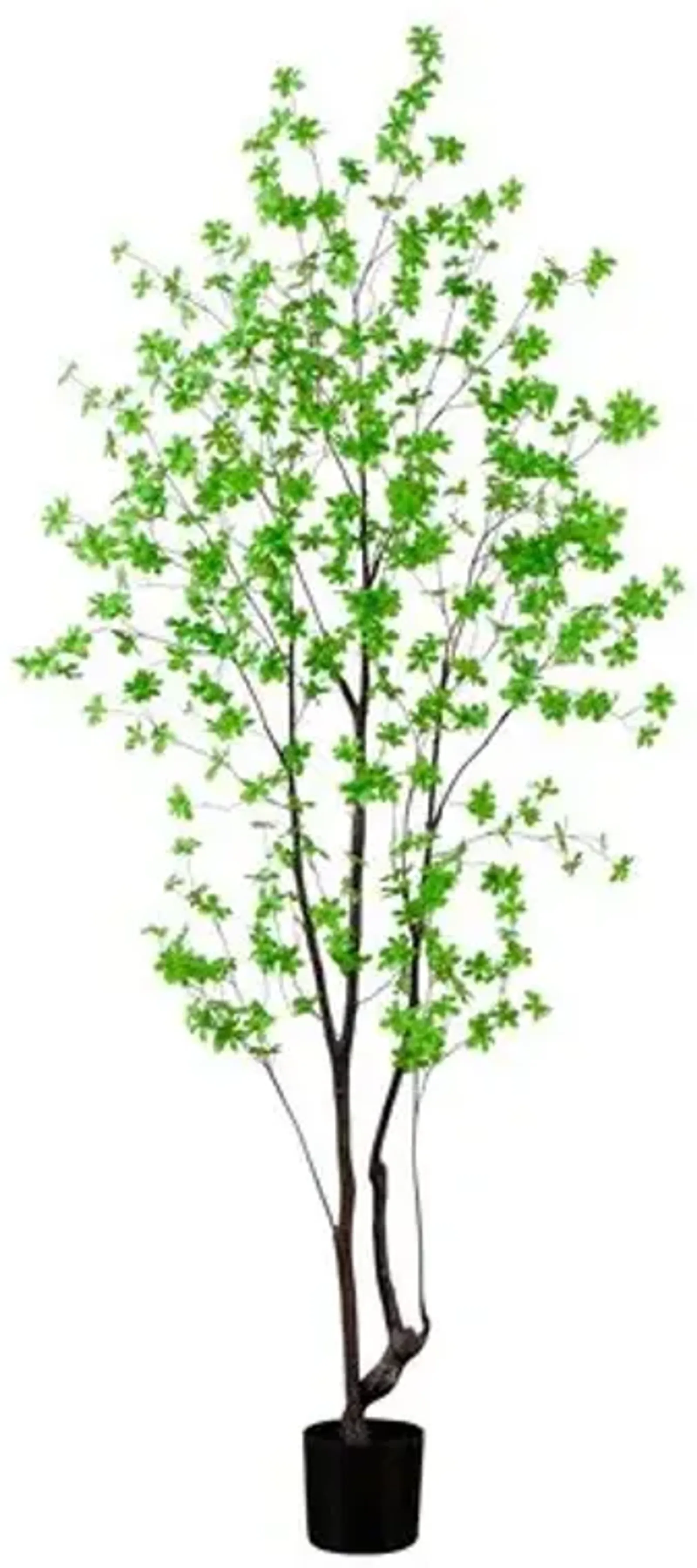 8ft. Artificial Minimalist Enkianthus Tree - Green