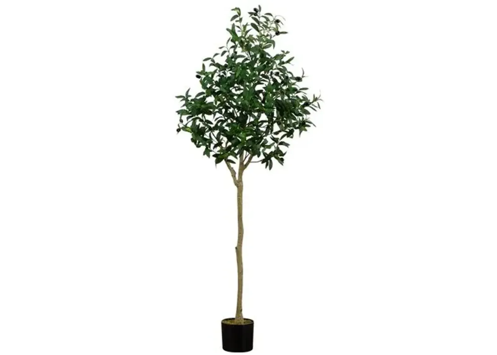 5ft. Artificial Olive Tree - Green