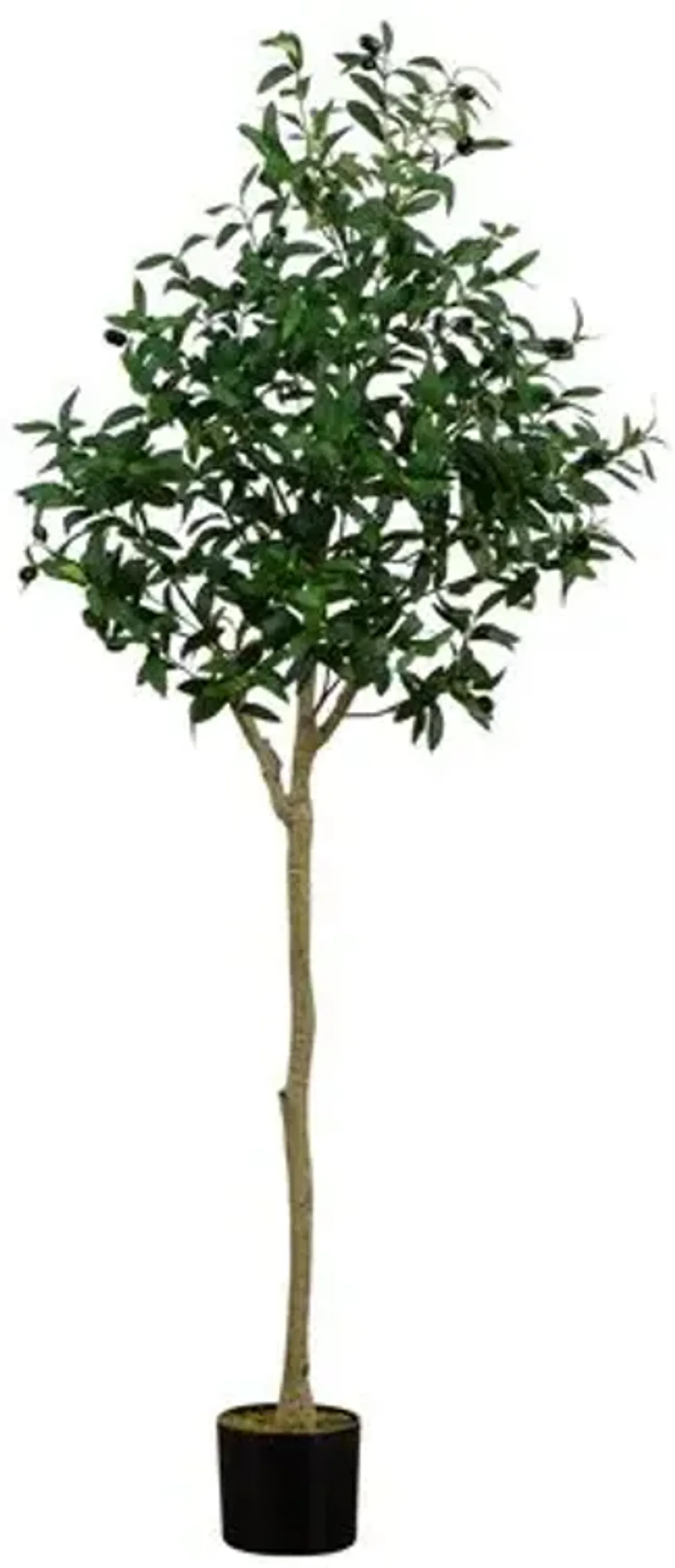 5ft. Artificial Olive Tree - Green