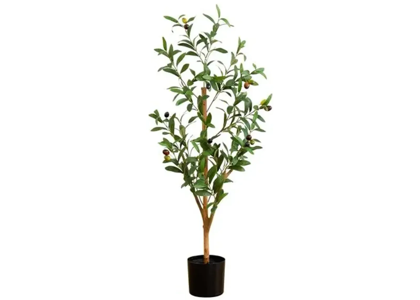 3ft. Artificial Olive Tree with Natural Trunk - Green