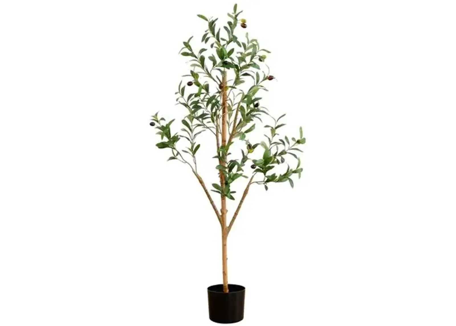 4ft. Artificial Olive Tree with Natural Trunk - Green